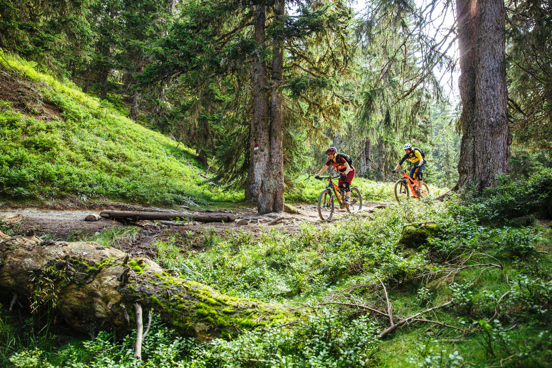Radfahrer auf einer ruhigen Panoramastraße im Salzburger Land
