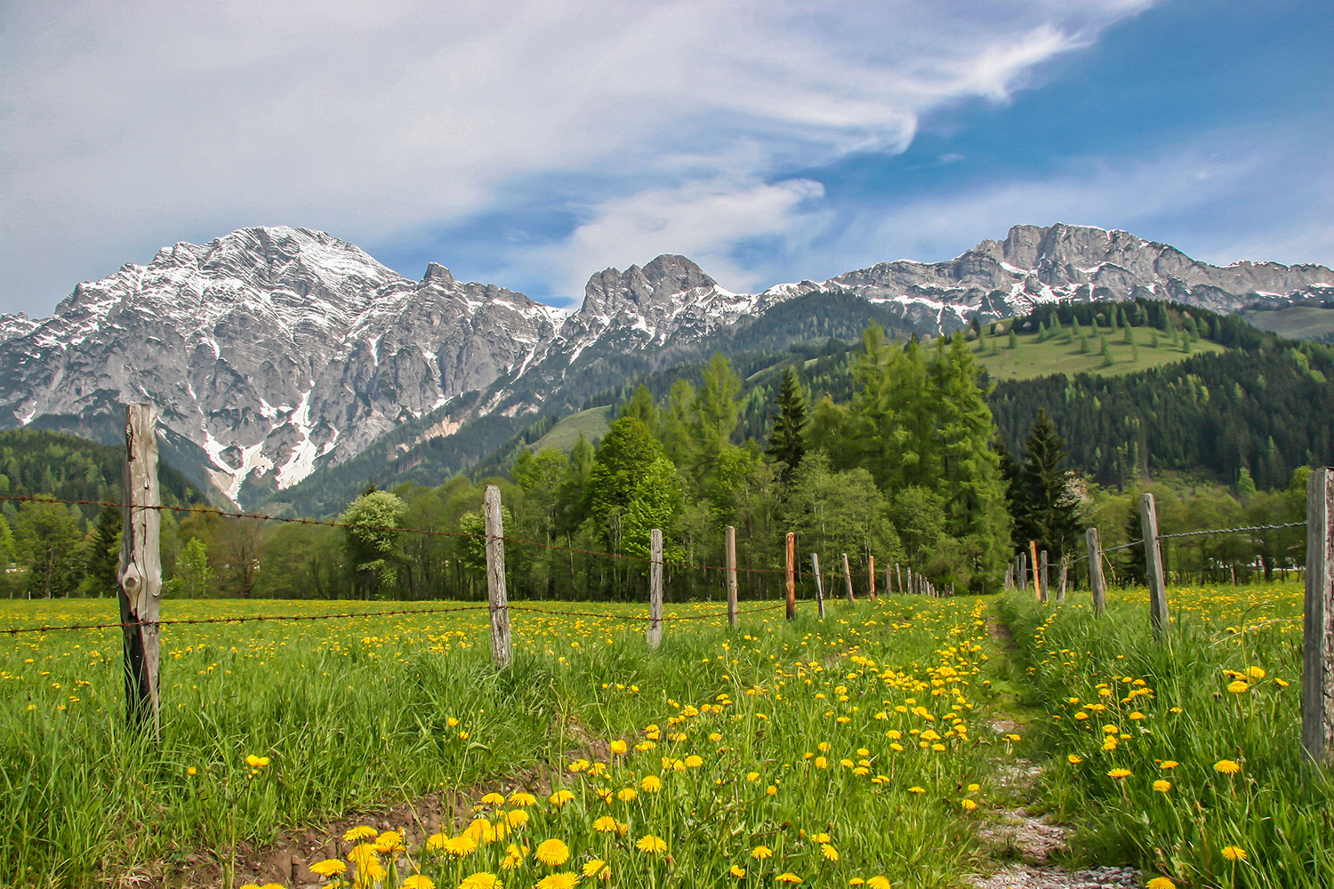 fruehling-im-salzburger-land.jpg