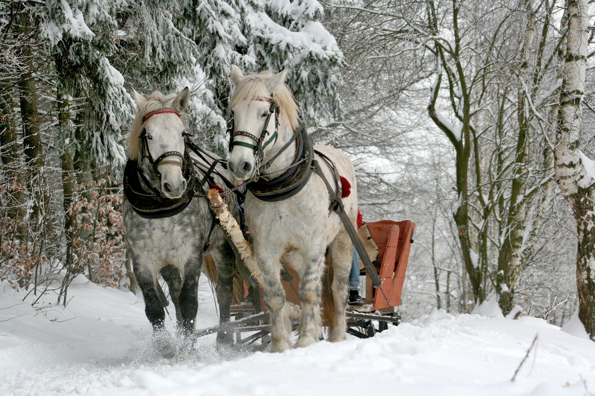 Familie warm eingepackt bei einer winterlichen Ausfahrt