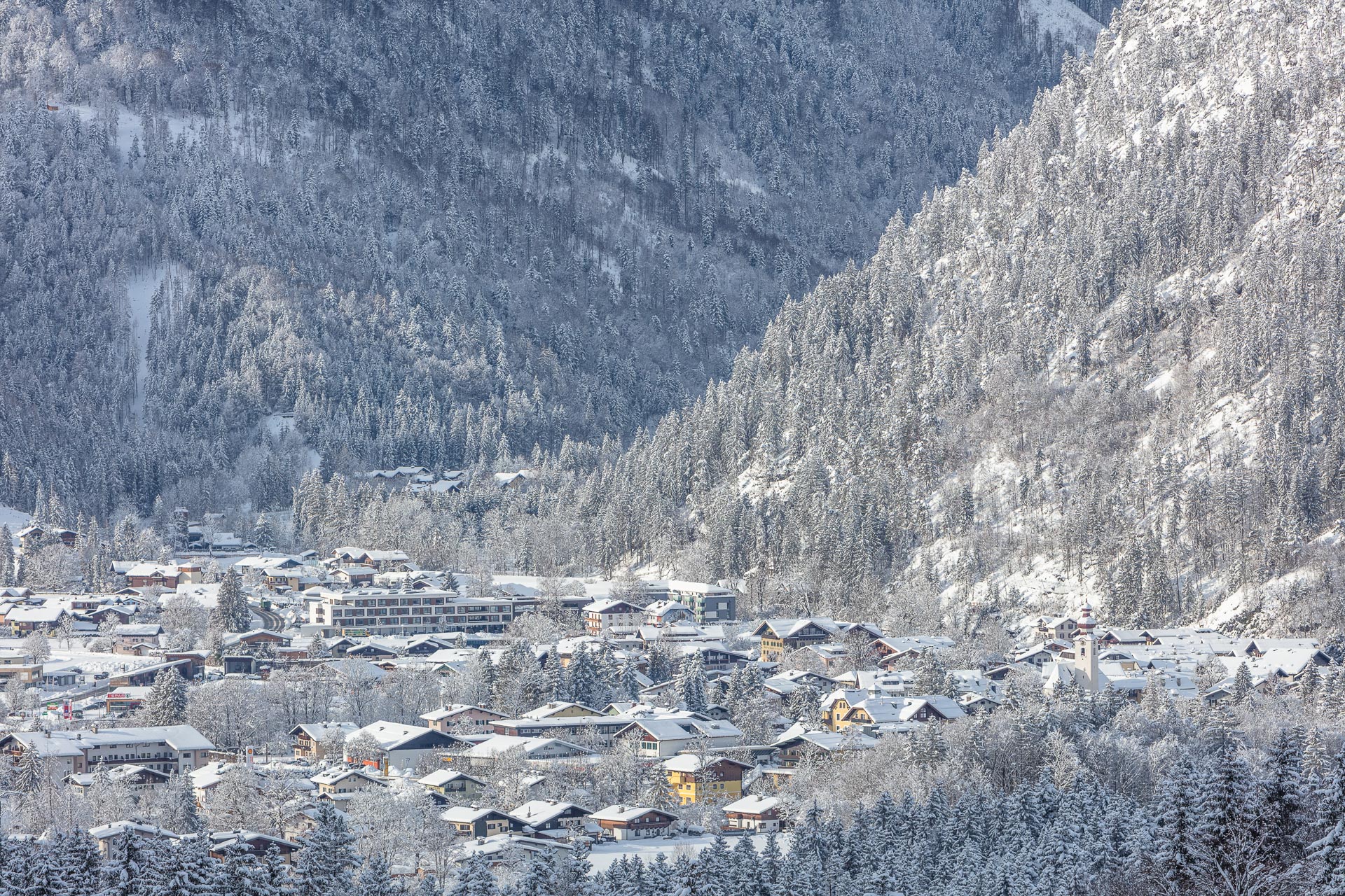 Kutsche mit Pferden im verschneiten Salzburger Saalachtal