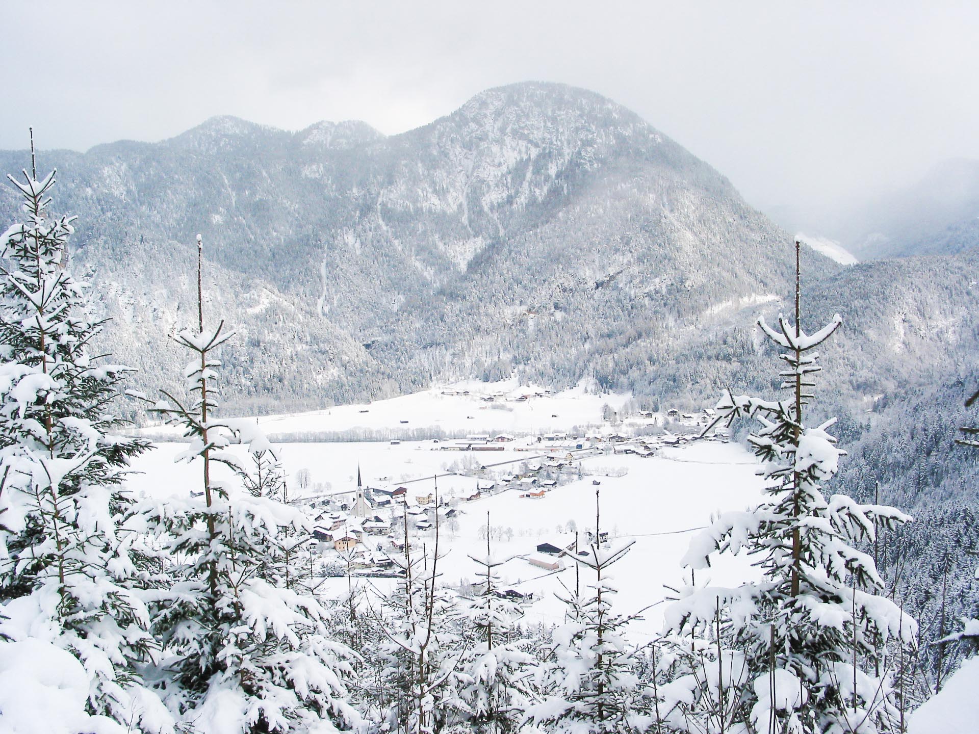 Pferdegespann auf dem Weg zwischen Lofer und St. Martin