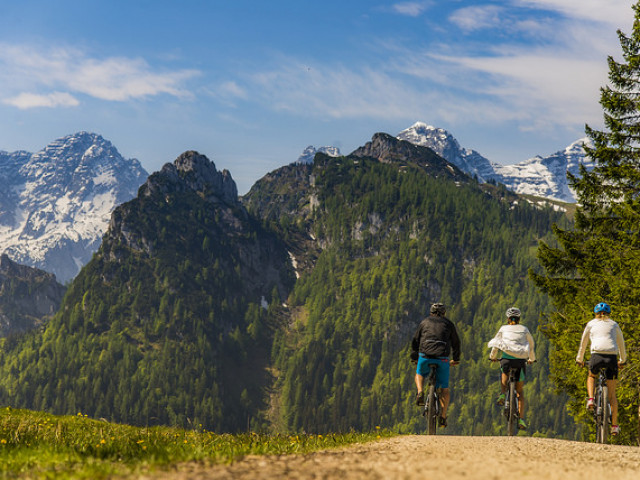 Ferienwohnungen Wartbichler