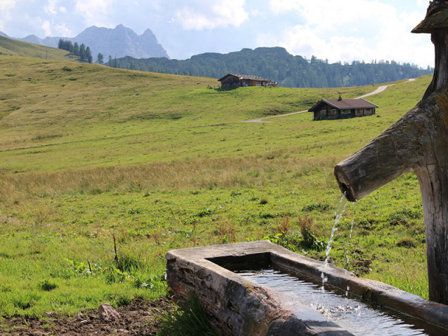 Wastlalm & Bauernhaus Loderbichl