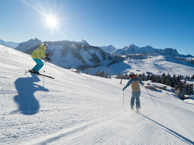 Wastlalm & Bauernhaus Loderbichl