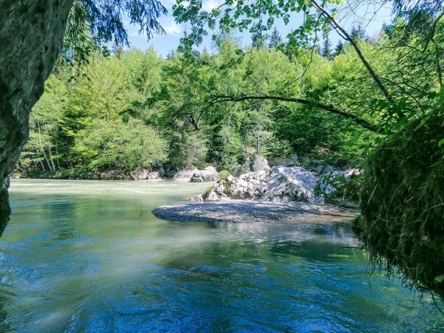 Ferienbauernhof Schwaigergut
