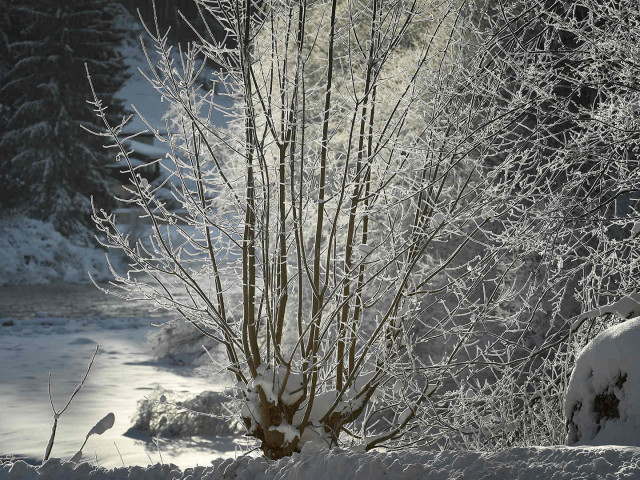 Restaurant Mühlpointhof in Lofer