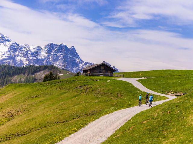 Ferienwohnungen Bergblick